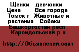 Щенки - девчонки › Цена ­ 2 - Все города, Томск г. Животные и растения » Собаки   . Башкортостан респ.,Караидельский р-н